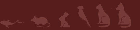 Pets
