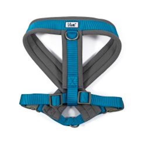 (image for) Ancol Padded Harness Blue Large, 52-71cm