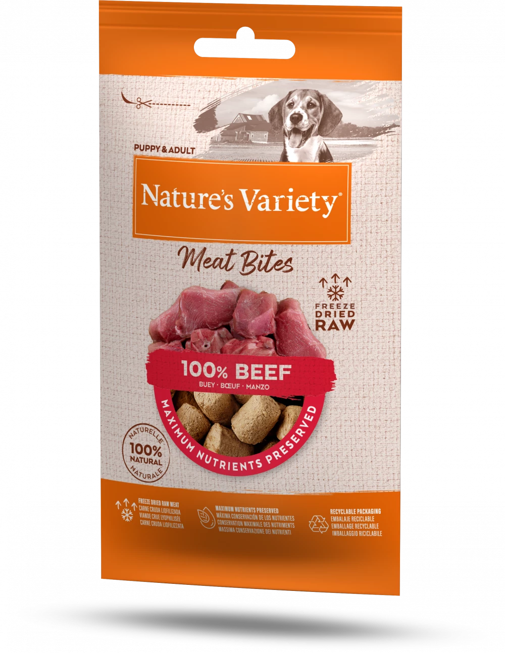 (image for) Nature's Variety Freeze Dried Meat Bites 100% Beef Adult Dogs
