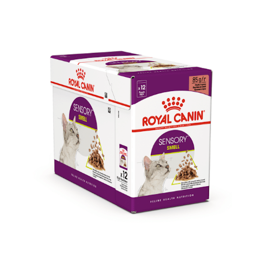 (image for) Royal Canin Adult Sensory Smell in Gravy Wet Cat Food 12 x 85g - Click Image to Close